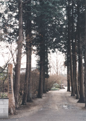 Entry of Iwama